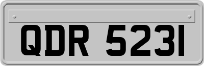 QDR5231