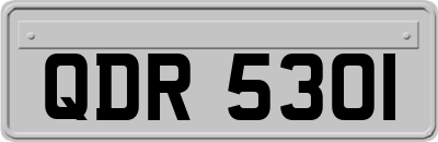 QDR5301