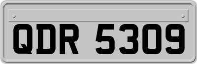 QDR5309