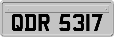 QDR5317
