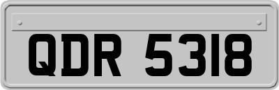 QDR5318