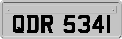QDR5341