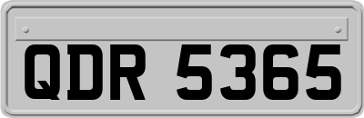 QDR5365