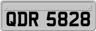 QDR5828