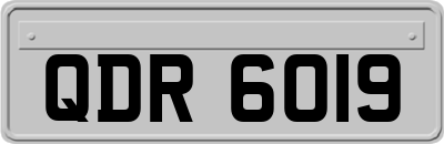 QDR6019