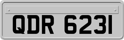 QDR6231