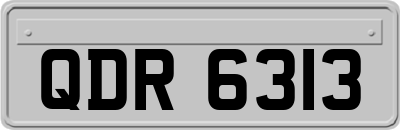 QDR6313
