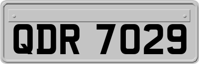 QDR7029
