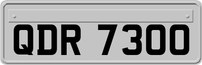 QDR7300