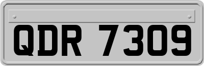 QDR7309