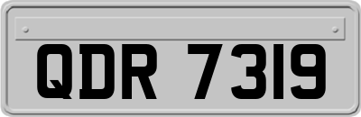 QDR7319