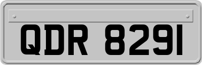 QDR8291