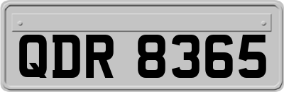 QDR8365