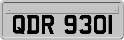 QDR9301
