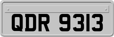 QDR9313