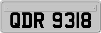 QDR9318