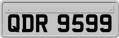 QDR9599