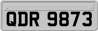 QDR9873
