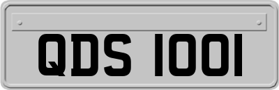 QDS1001