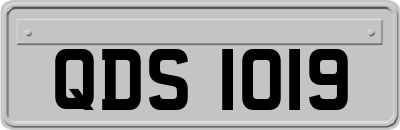 QDS1019