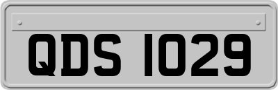 QDS1029