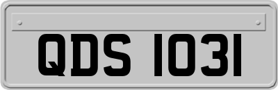 QDS1031