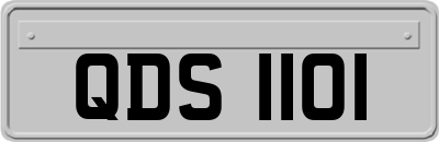 QDS1101