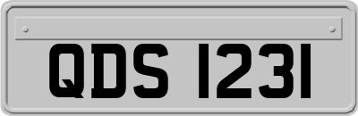 QDS1231