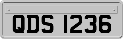 QDS1236