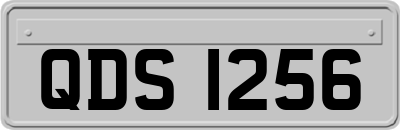QDS1256