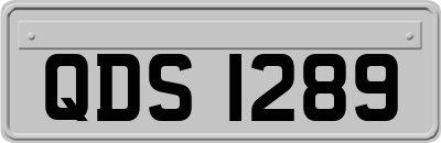 QDS1289