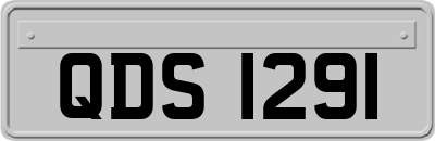 QDS1291