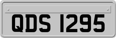 QDS1295
