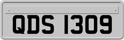 QDS1309