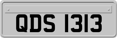 QDS1313