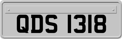 QDS1318