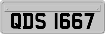 QDS1667