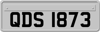 QDS1873