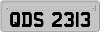 QDS2313