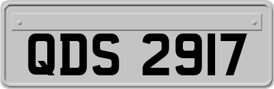QDS2917