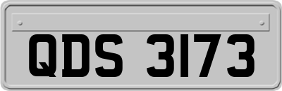 QDS3173