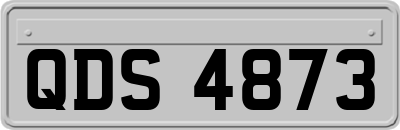QDS4873