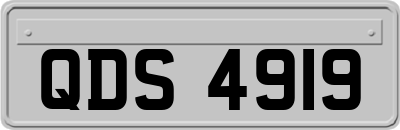 QDS4919