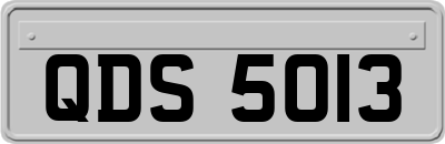 QDS5013