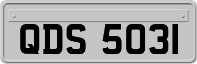 QDS5031