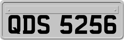 QDS5256