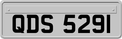 QDS5291