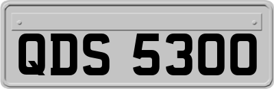 QDS5300