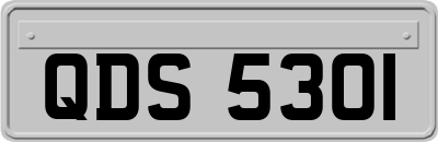 QDS5301
