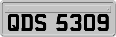 QDS5309